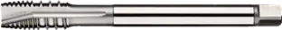 WebCategoryImage