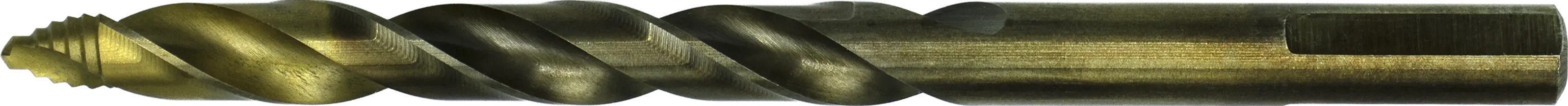WebCategoryImage