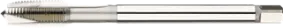 WebCategoryImage