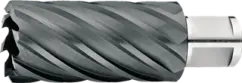 WebCategoryImage