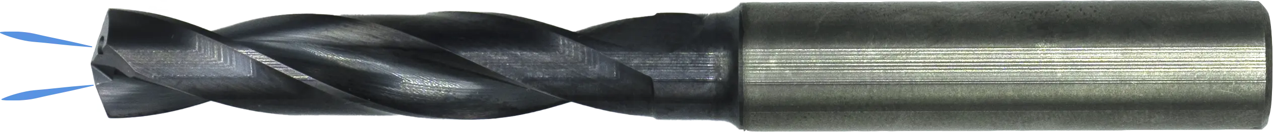WebCategoryImage