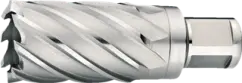 WebCategoryImage