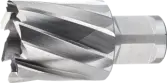 WebCategoryImage