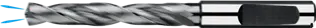WebCategoryImage