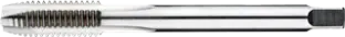 WebCategoryImage