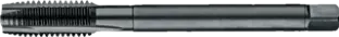 WebCategoryImage