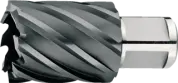 WebCategoryImage