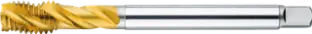 WebCategoryImage
